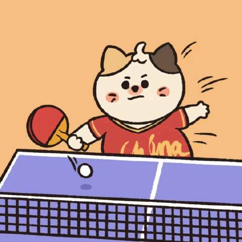 乒羽足资讯