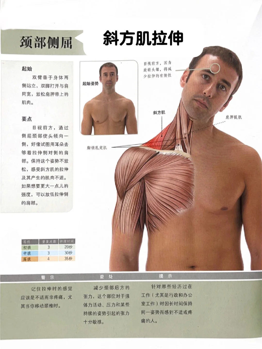 【收藏】上班族长期久坐的拉伸