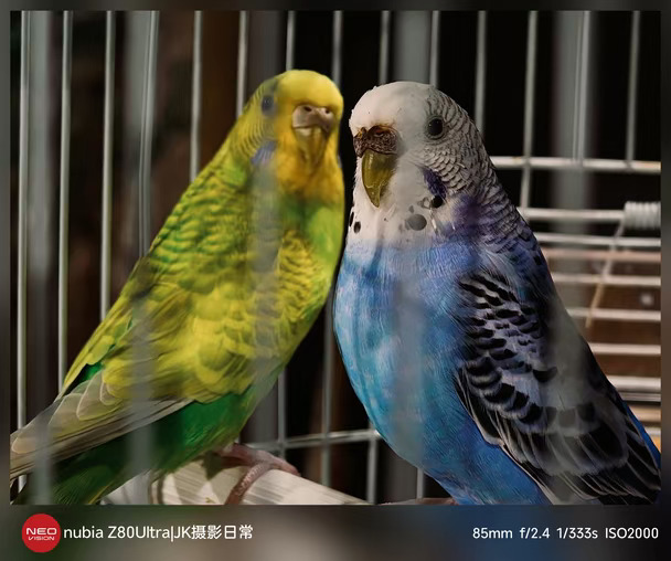 小绿和小蓝哥俩好