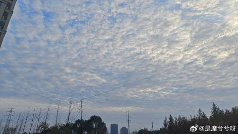 不想干了<span class=