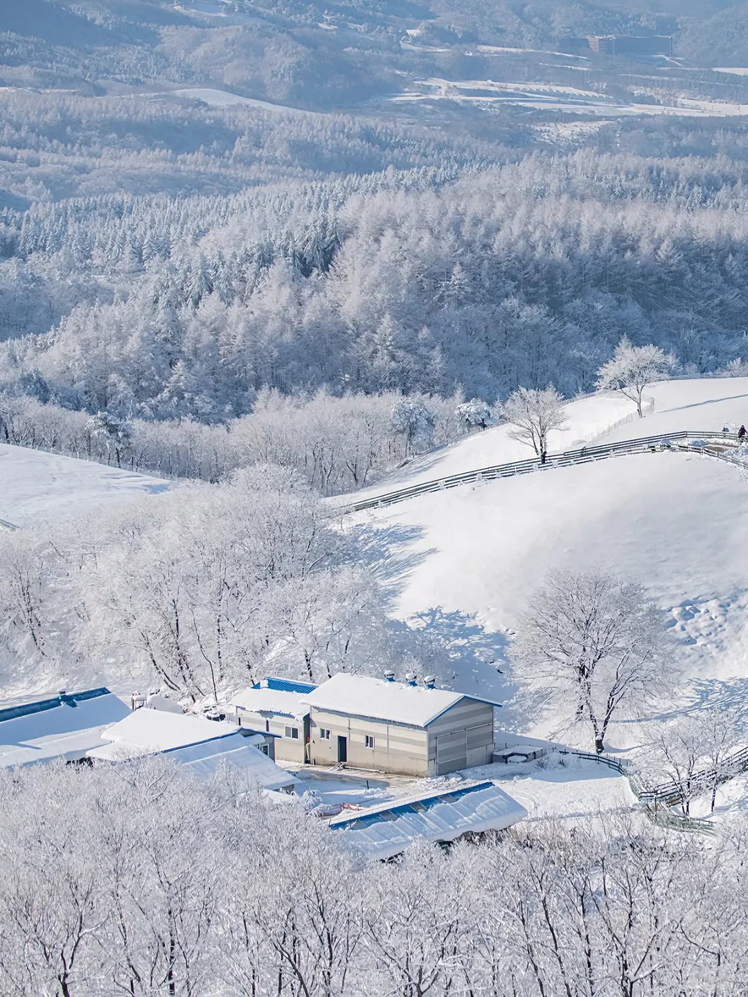 北海道平替😭冬天的江原道真的被低估了吧！！