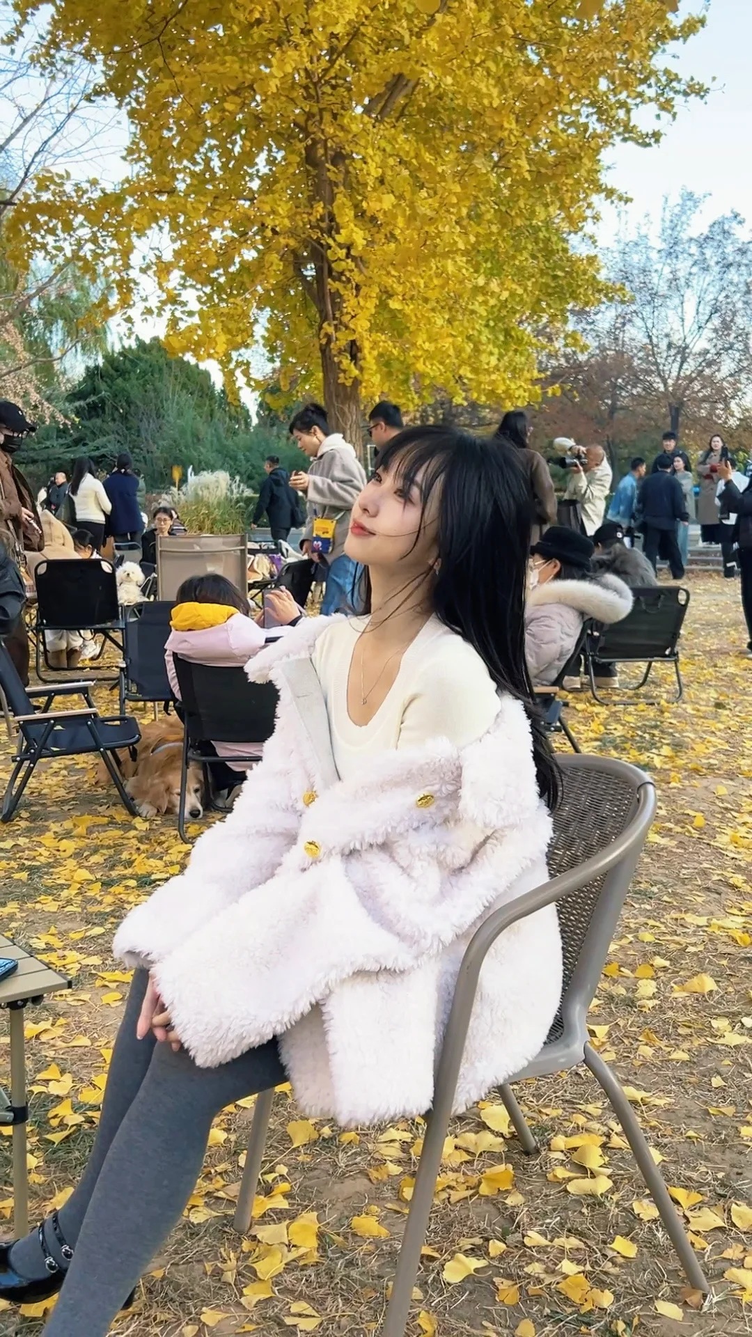 请在秋天来到北京！🍂