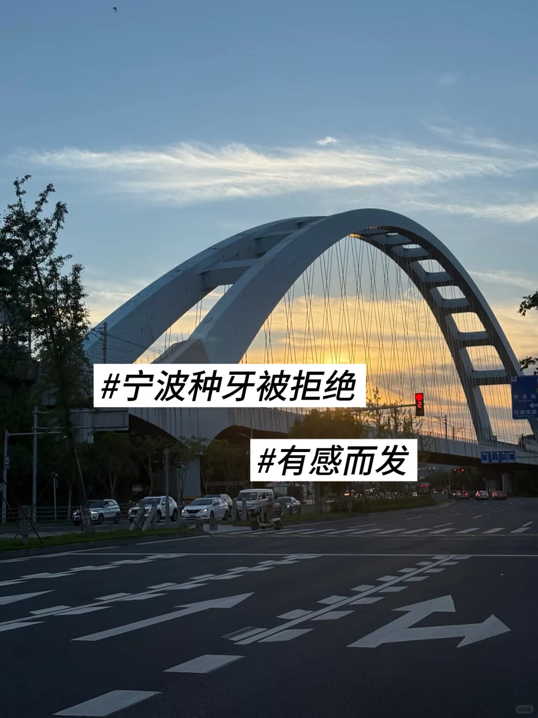 说白了，宁波种牙就是在赌大夫的良心