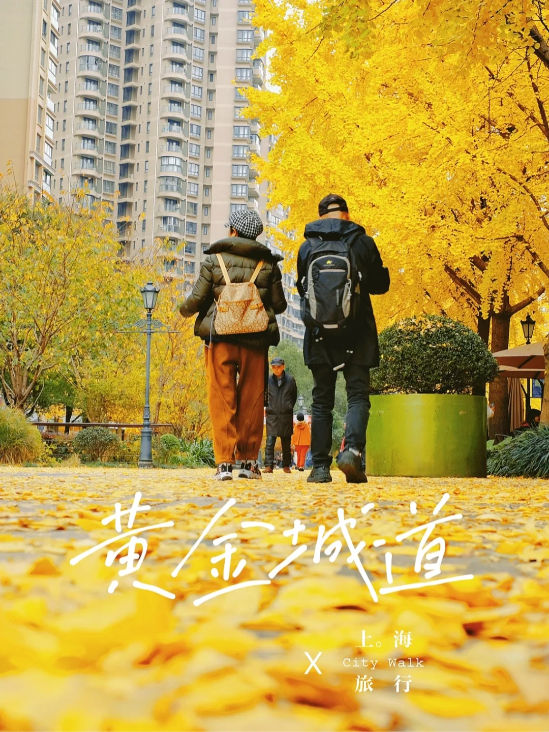 上海人在上海旅游｜黄金城道迎来最美银杏