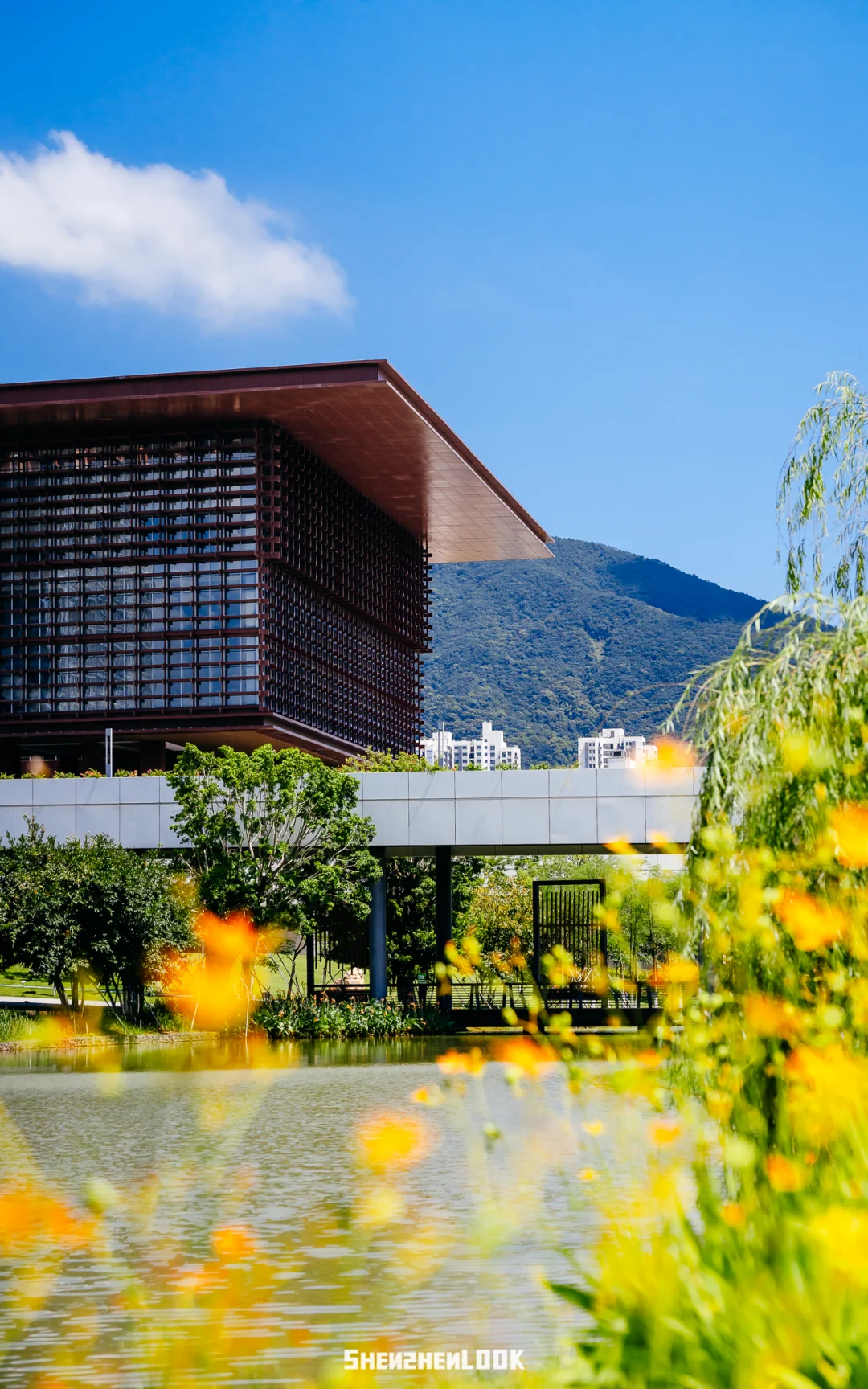 没有围墙的“空中大学”，就在深圳