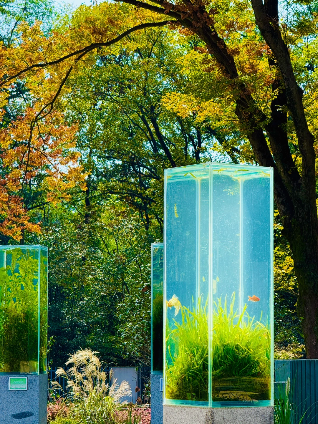 南京是真不缺有意思的地方啊。。。