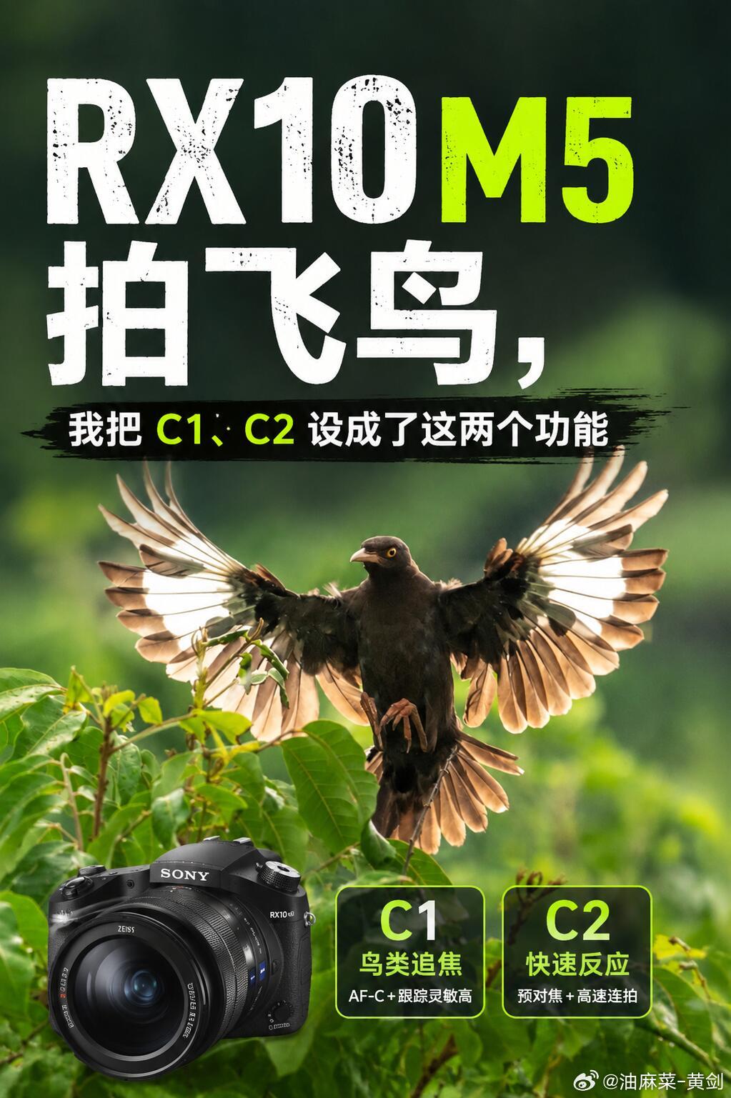 RX10M5 拍飞鸟，我把 C1、C2 设成了这两个功||这两天在小区散步，我用索尼 RX10M5 手持拍了一组飞鸟。

想要快速抓拍、高效对焦，相机右肩的 C1、C2 键一定要利用起来。我的设置是：

C1：连拍速度加快切换
C2：切换对焦区域

注意，关键是“切换”。

按一下 C1，相机就会切换到更高的连拍速度，最高 ​