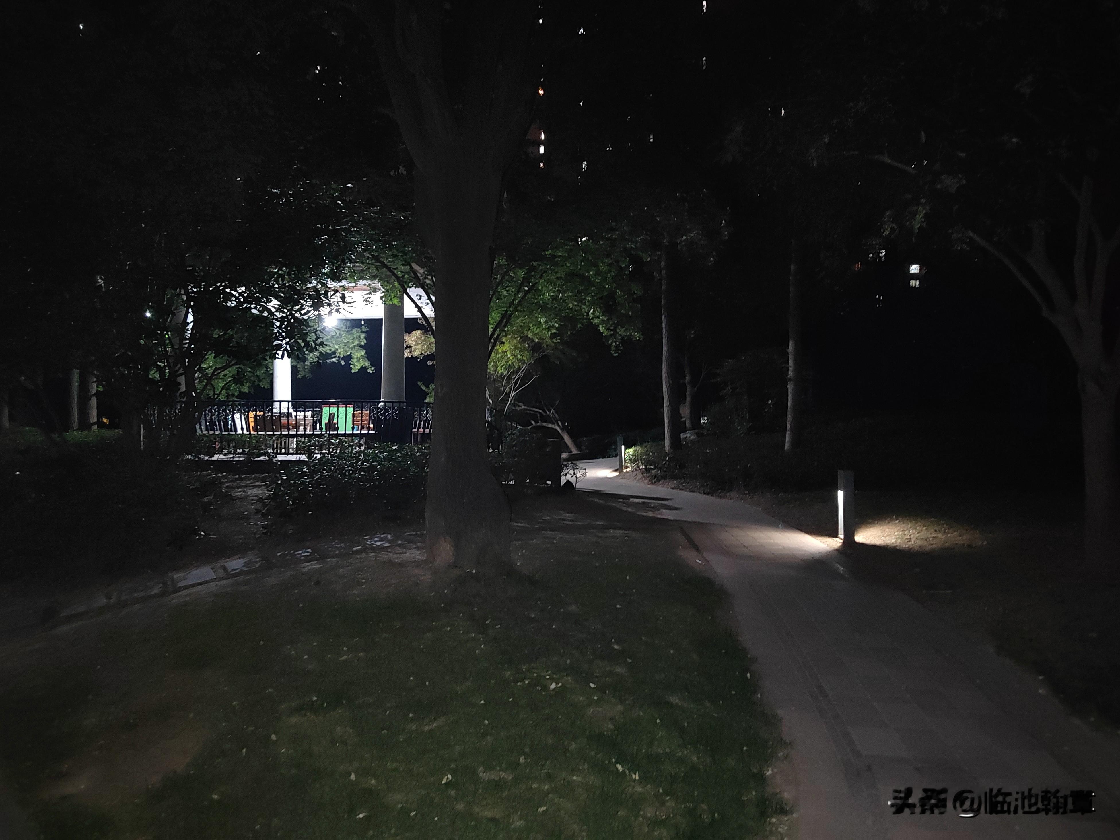 《长安秋夜》
.多吉.

楼宇在安静处，藏一点将动未动的呼吸。

路面青石板，凉意从鞋底浮起。

灯影在街区游移，像一帧帧褪色的旧胶片。

风吹来，银杏叶坠地——簌、簌、簌作响。

古楼钟声，撞开夜雾，余震里的山楂还有未落的柿子，在枝头轻轻摇晃。