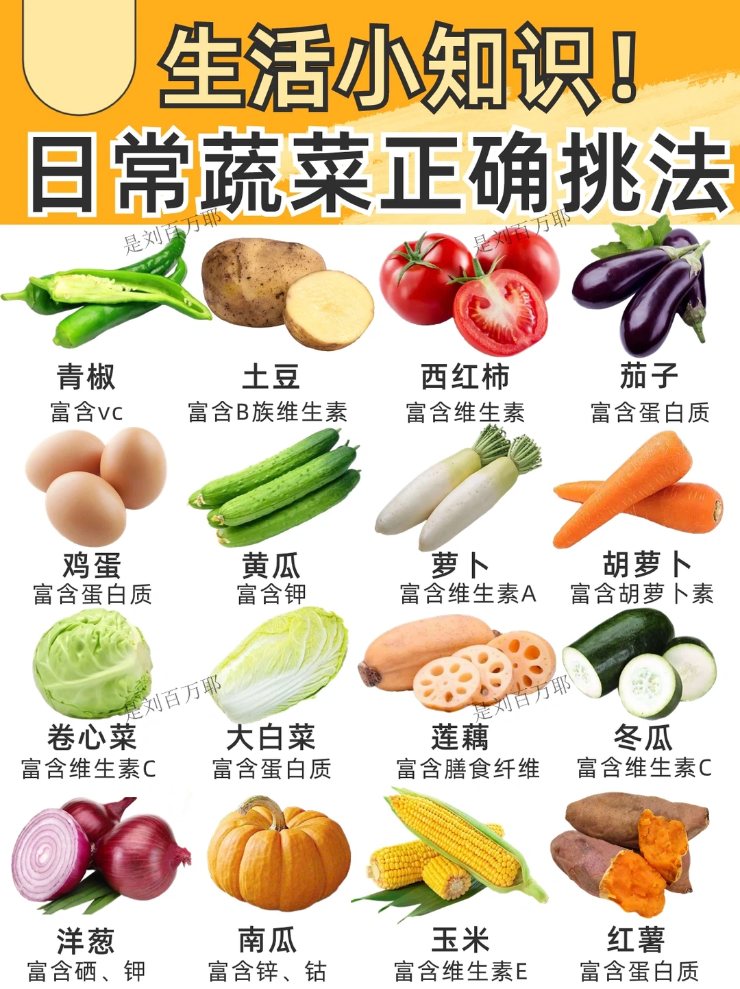 1⃣️6⃣️种日常蔬菜正确挑法🔥一起涨知识✅