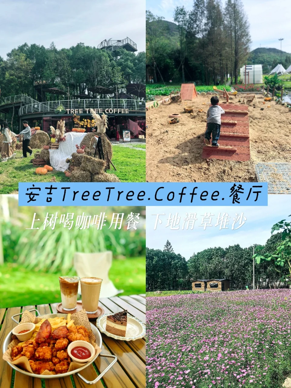 遛娃新去处｜“上树”喝咖啡 下地滑草堆沙