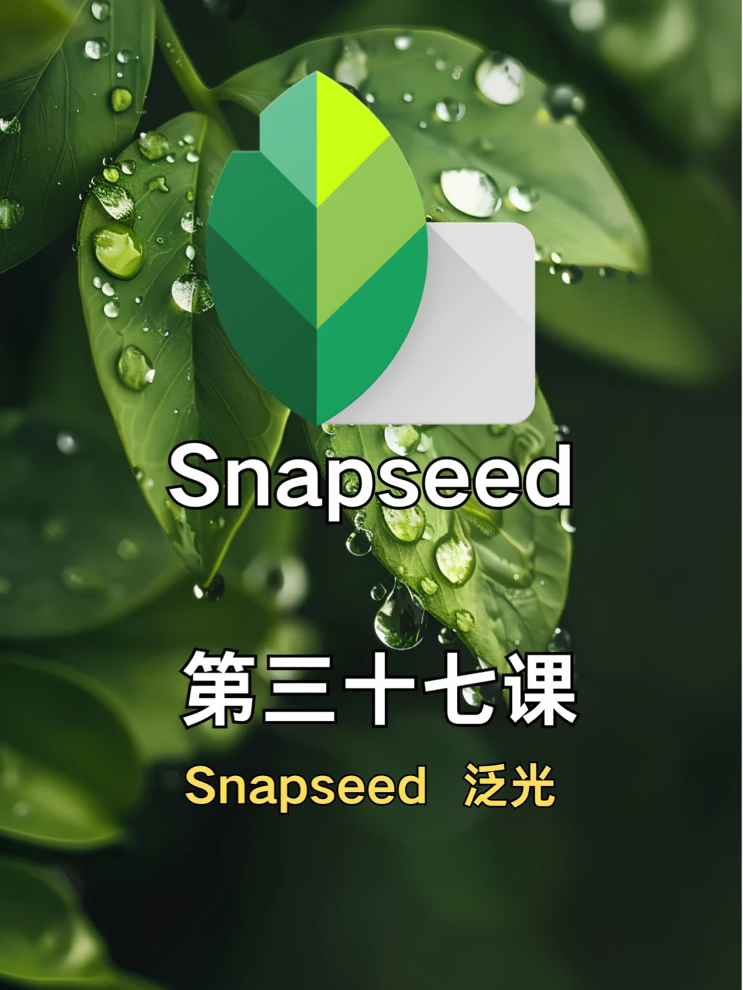 手机修图调色｜Snapseed 第三十七课 泛光