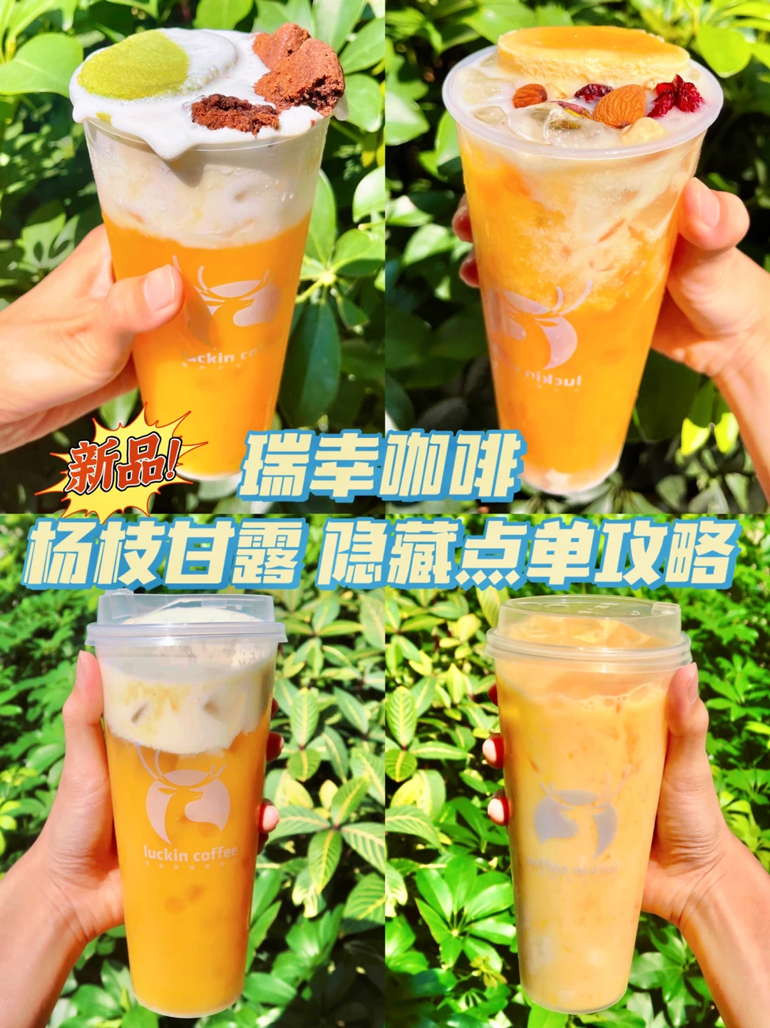 瑞幸咖啡出新品啦❗️杨枝甘露隐藏的点单攻略