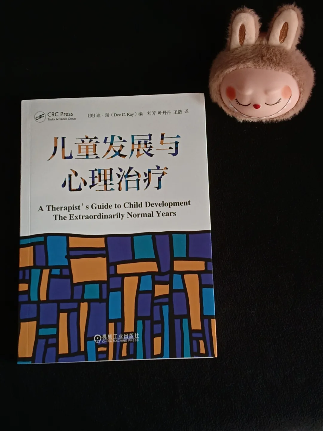 《儿童发展与心理治疗》中的治愈之道