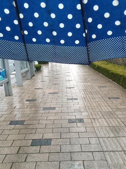 看天气预报说今天有雨，出门前犹豫了一下，还是带了伞。 
结果一整天都没下雨，伞在包里白背了一天。 
虽然有点重，但心里踏实。 
也许这就是长大的标志之一：学会为可能发生的意外做准备。 
即使最后什么都没发生，准备好本身，就是一件令人安心的事。#晴带雨伞# ​