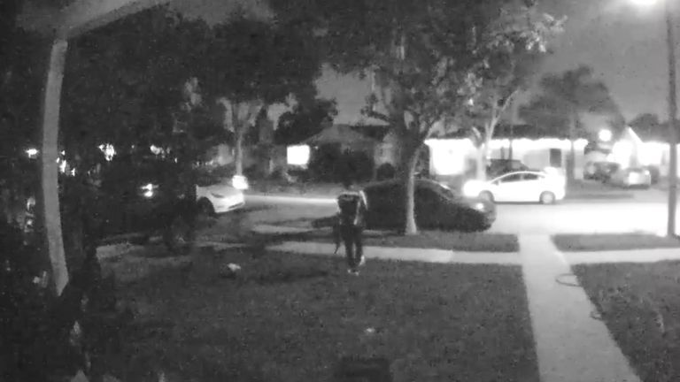 【洛杉矶宠物主人称亚马逊司机涉嫌偷猫】洛杉矶县一名宠物主人近日陷入焦急...