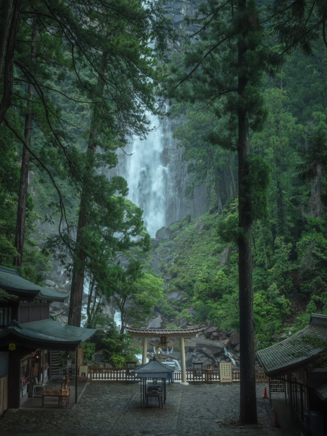 日本和歌山丨神仙小众吸氧景点，禅意满满