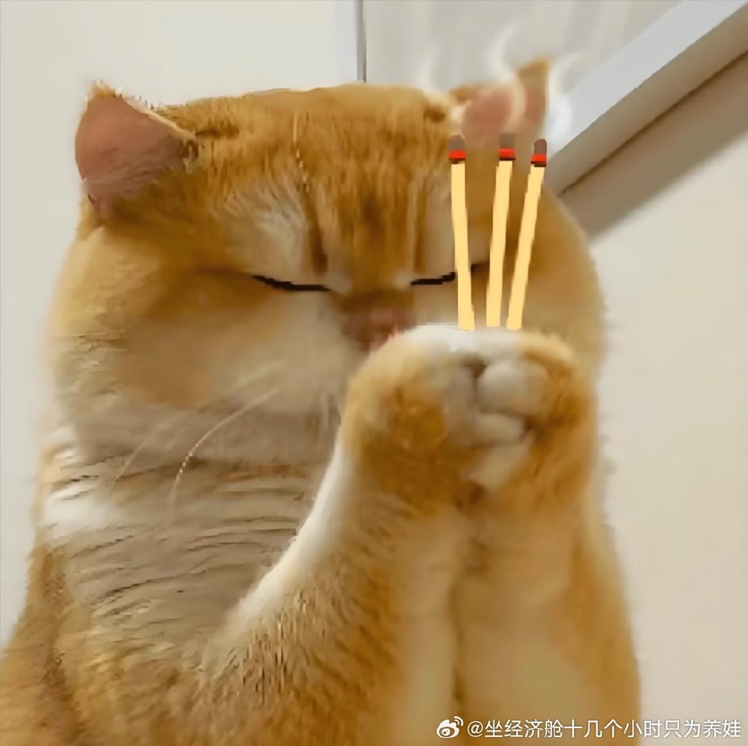 女乒一人一分，速速解决战斗[老师好][老师好][老师好] ​