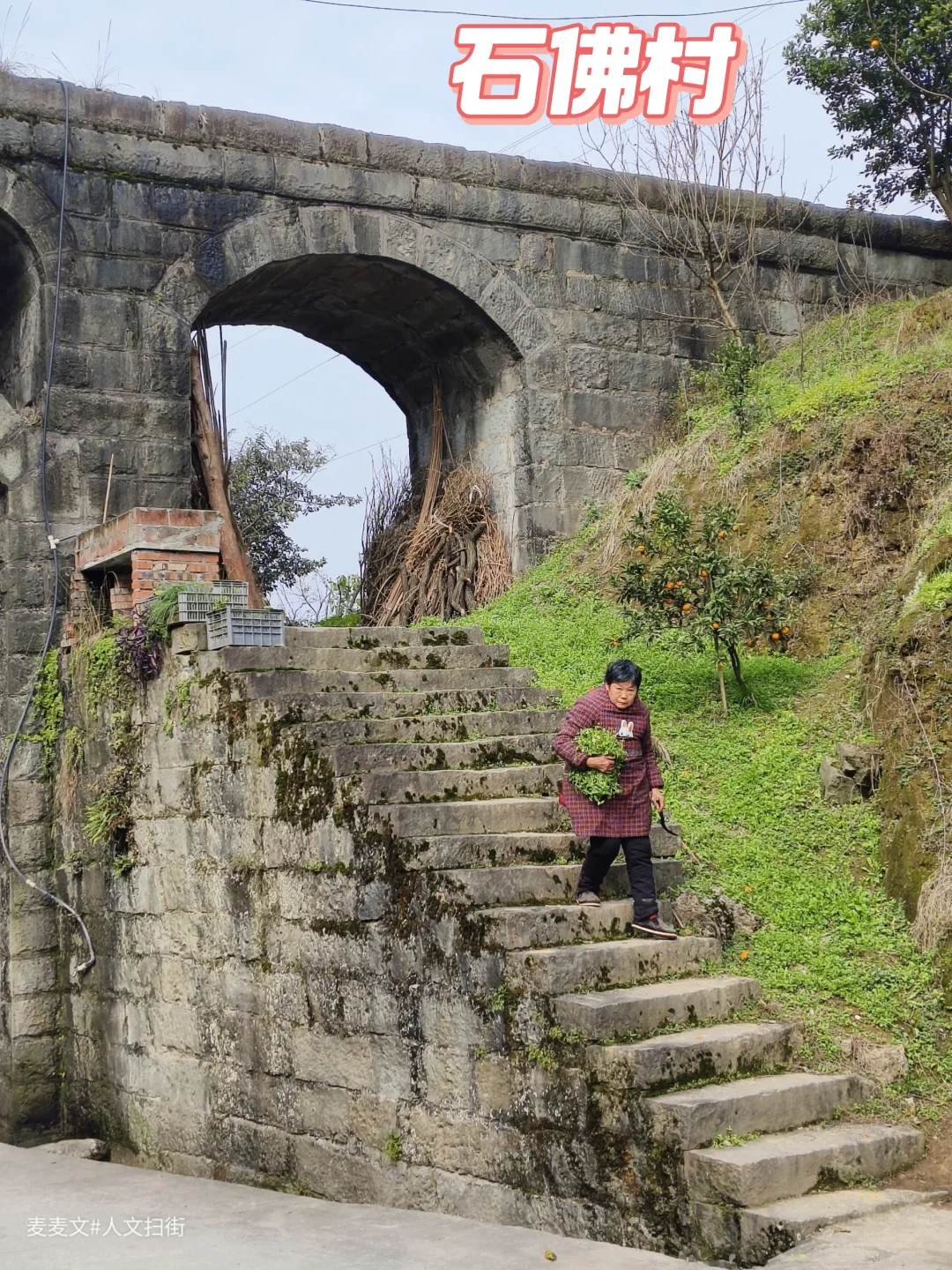 【江津】石佛村水渠上缓缓走下来的老人