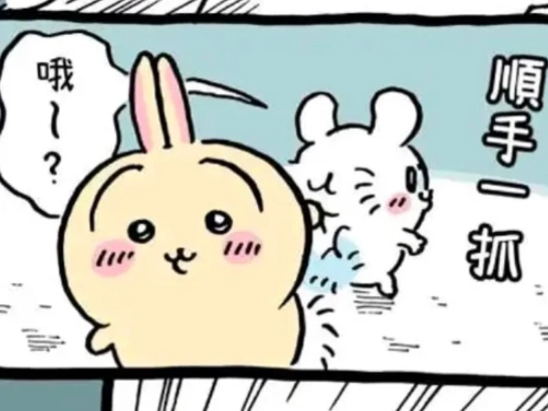 随手一抓就抓住了坏鼠