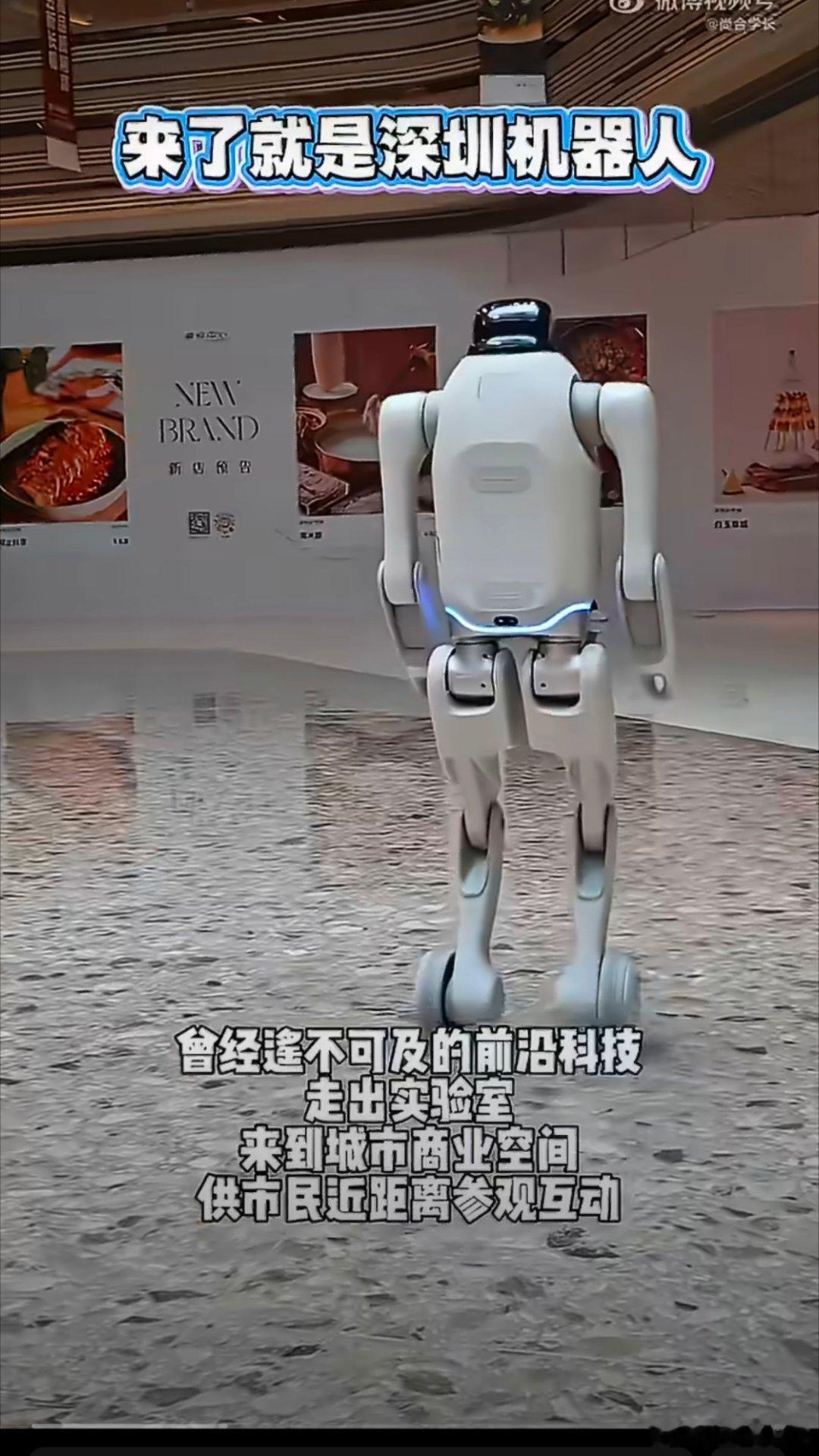 #来了就是深圳机器人# 谁懂啊，看到网友玩这个梗的时候一下子就get到内核，“来了就是深圳人”衍生出新版本，这座城市不光接纳追梦的人，也拥抱前沿的机器人科技 ​