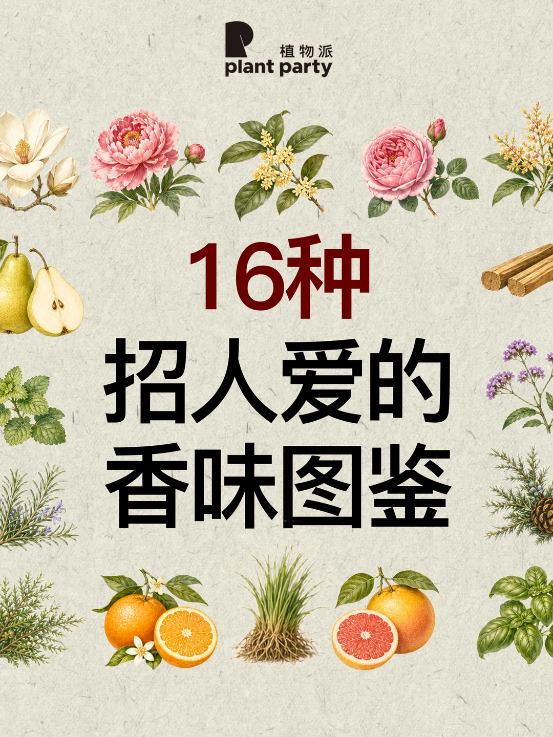 🌸16种 “招人爱” 的香味图鉴