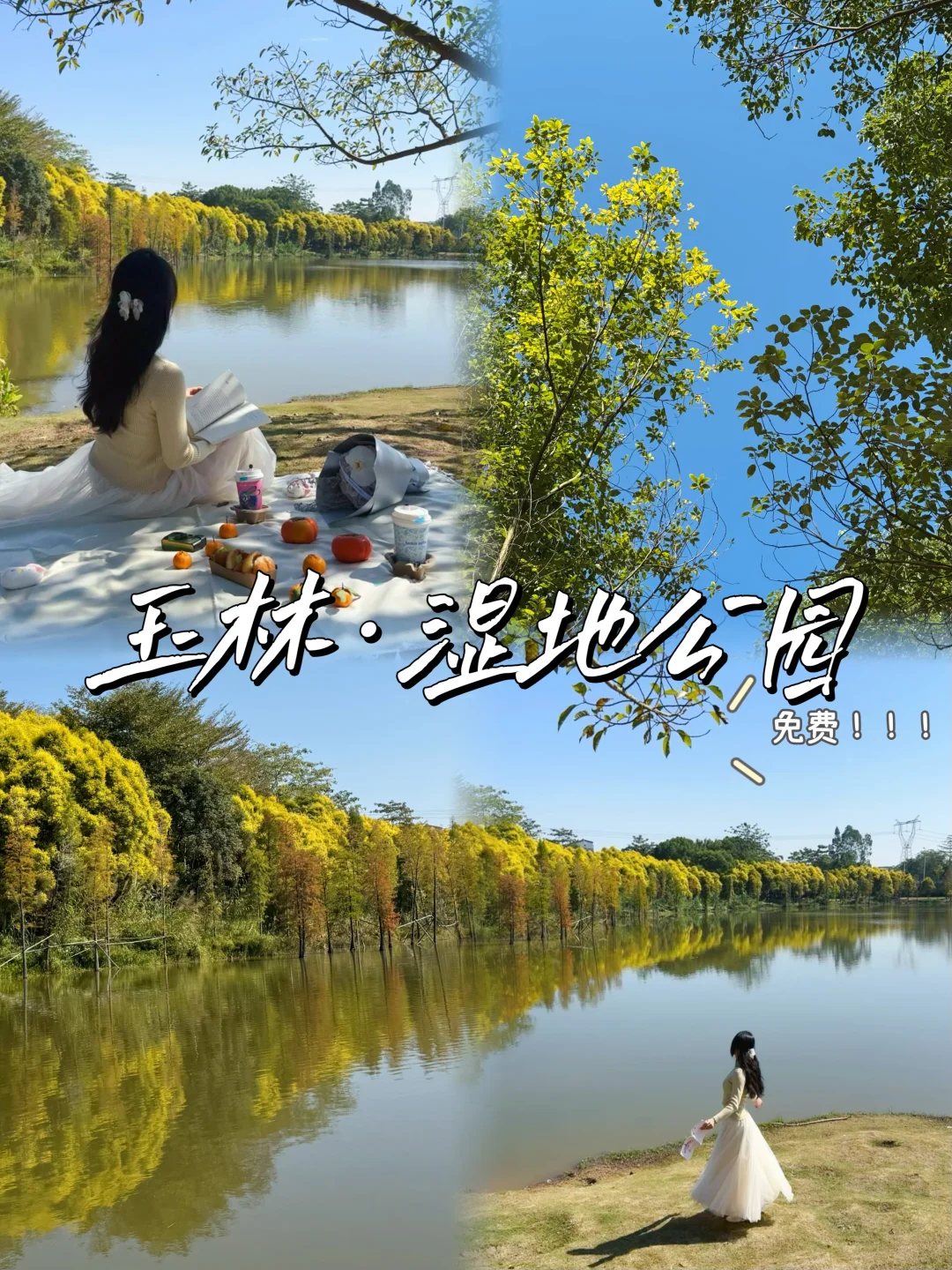 不是南京！是玉林湿地公园！免费拍照打卡攻略