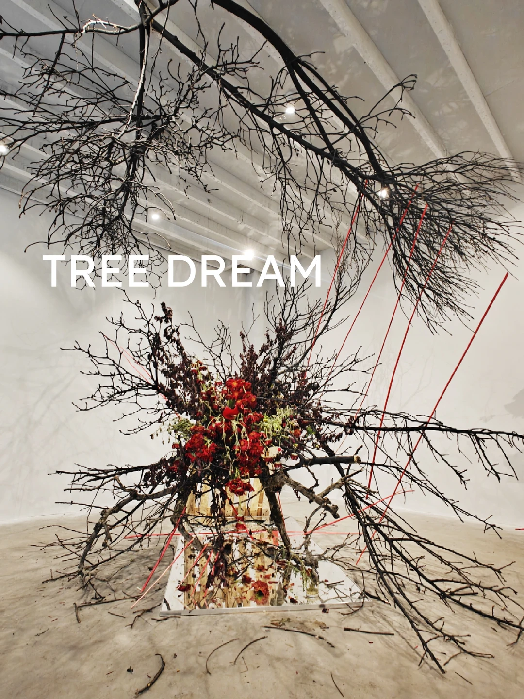 上海新邨里隐藏着一件超震撼植物装置