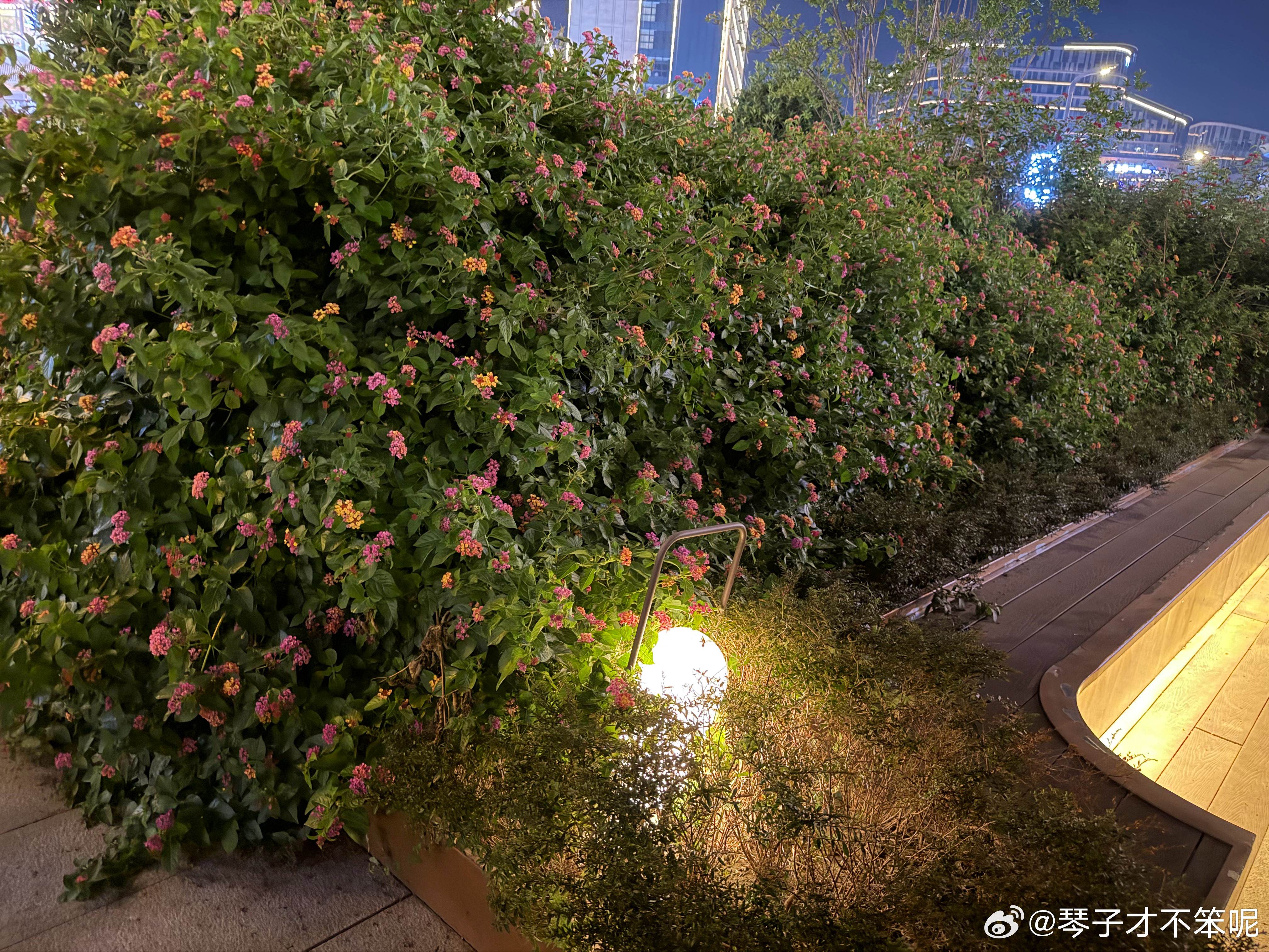 所有的道理我都懂，但是理性还是败给了情绪。 ​​​