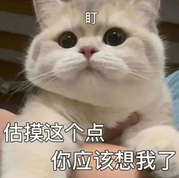 是新的表情包呀