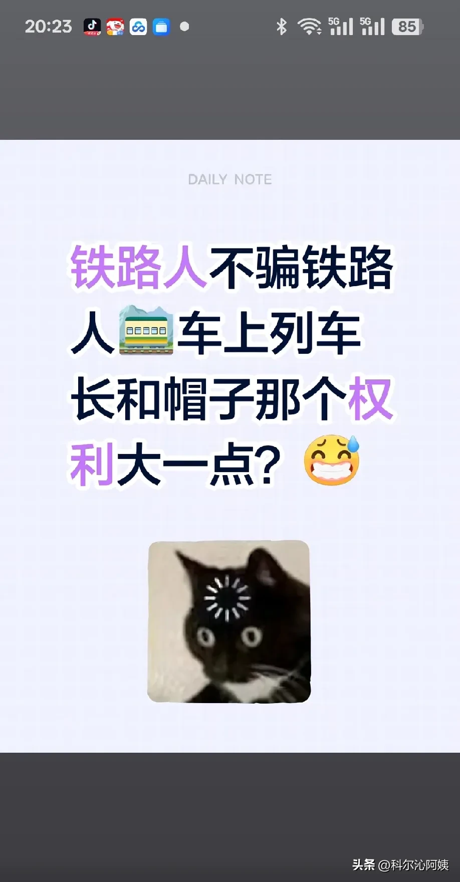 火车上列车长和帽子叔叔哪个权利大一点？
火车上列车长归客运段，帽子叔叔归铁路公安
