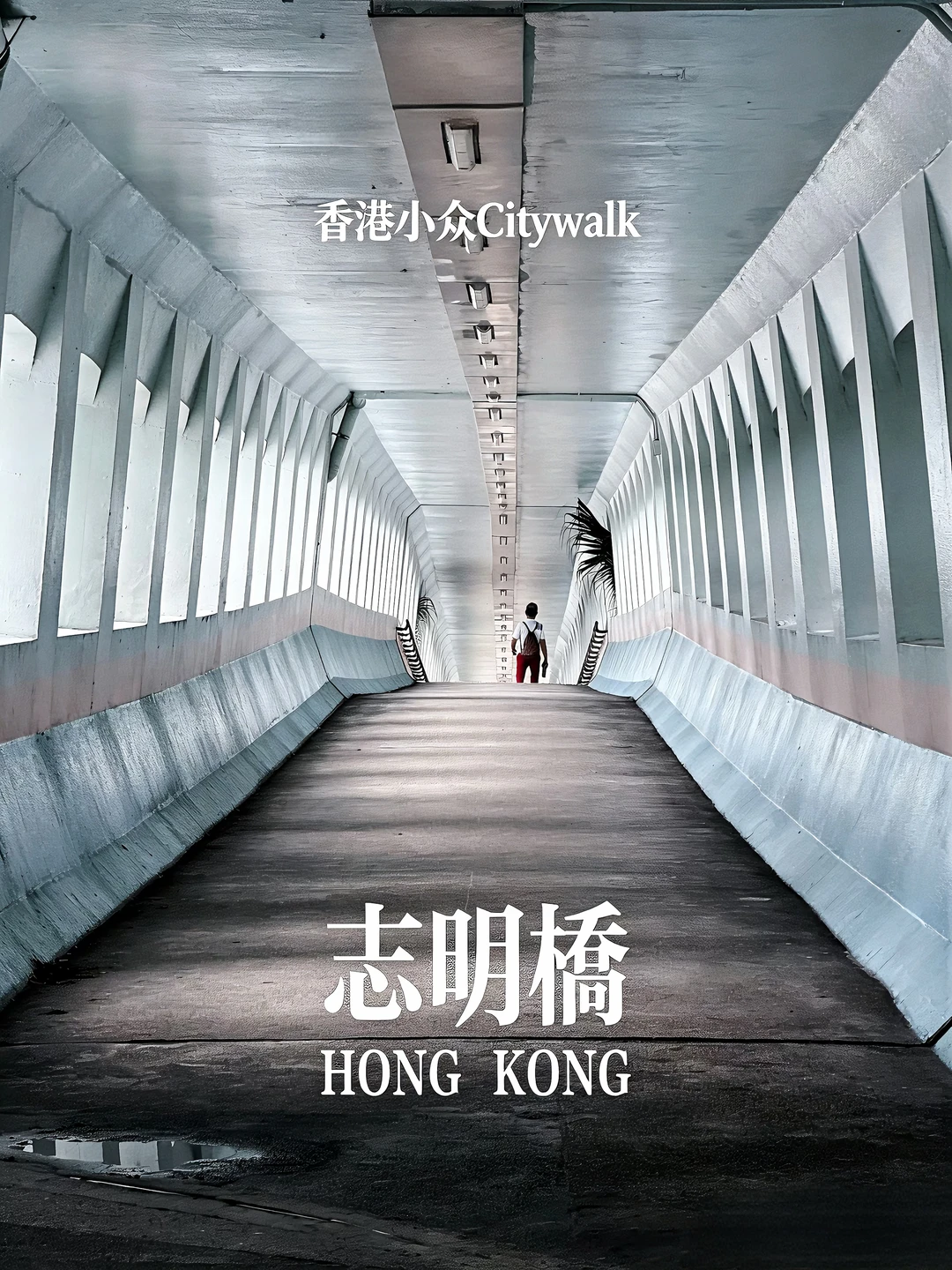 📍香港不止油尖旺｜志明桥同款citywalk路线