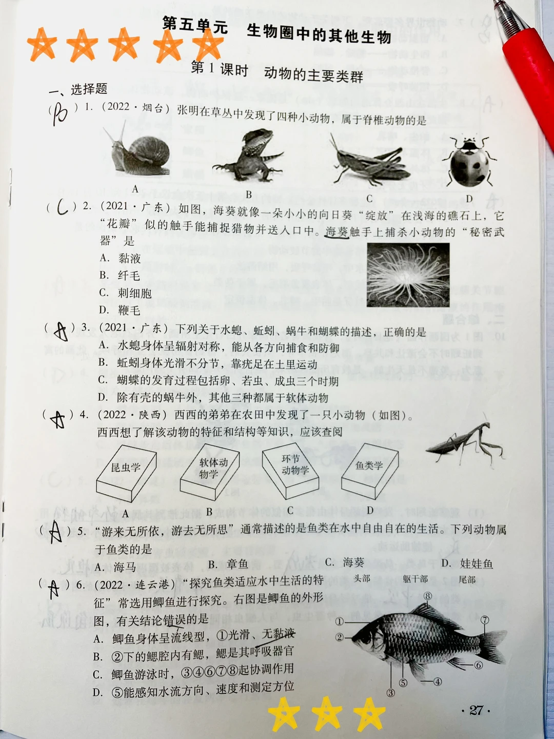 寒假作业‼️八上生物知识点练习‼️