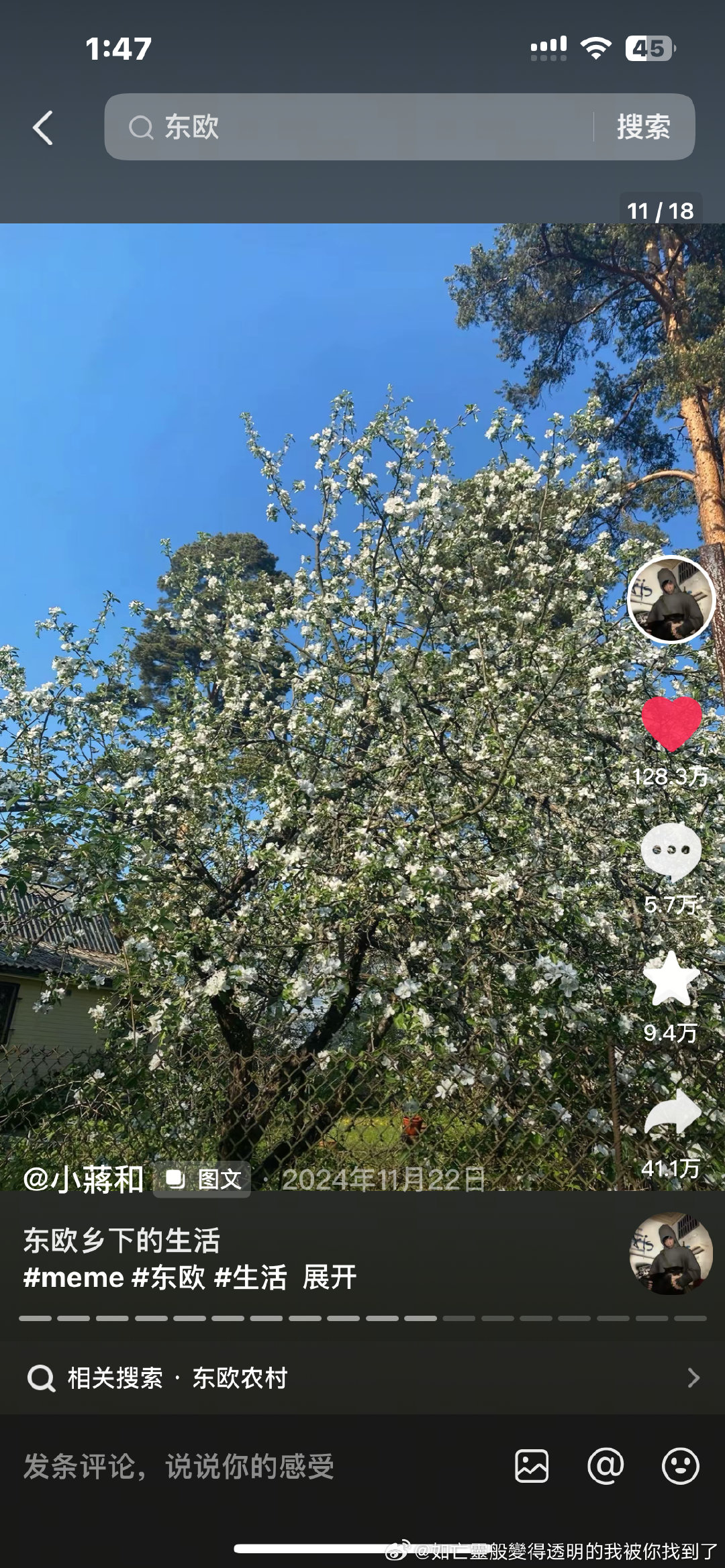 好想看🍅在苹果花盛开的树下用白色的围裙捧起花给🧅看呀，东欧风味真美，像配图这样 ​