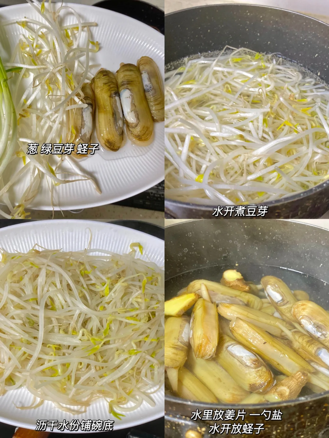 家常菜 ｜葱油蛏子 加上绿豆芽太搭了🔥