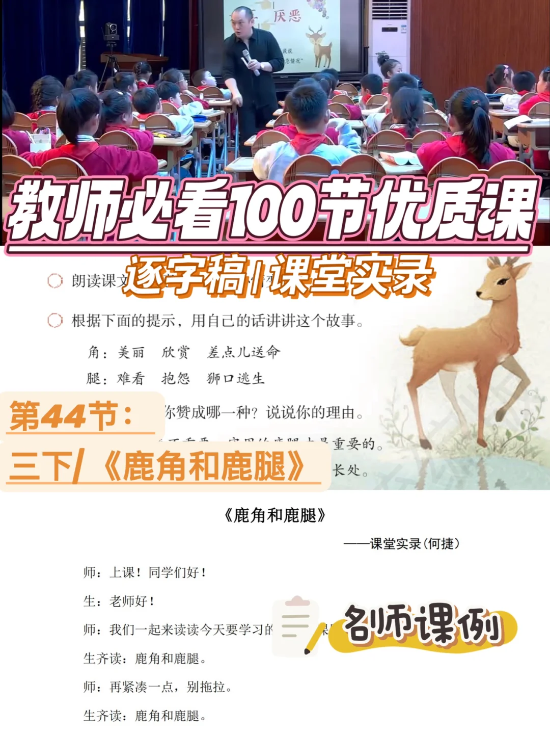 🔥教师必看100节优质课|鹿角和鹿腿|逐字稿