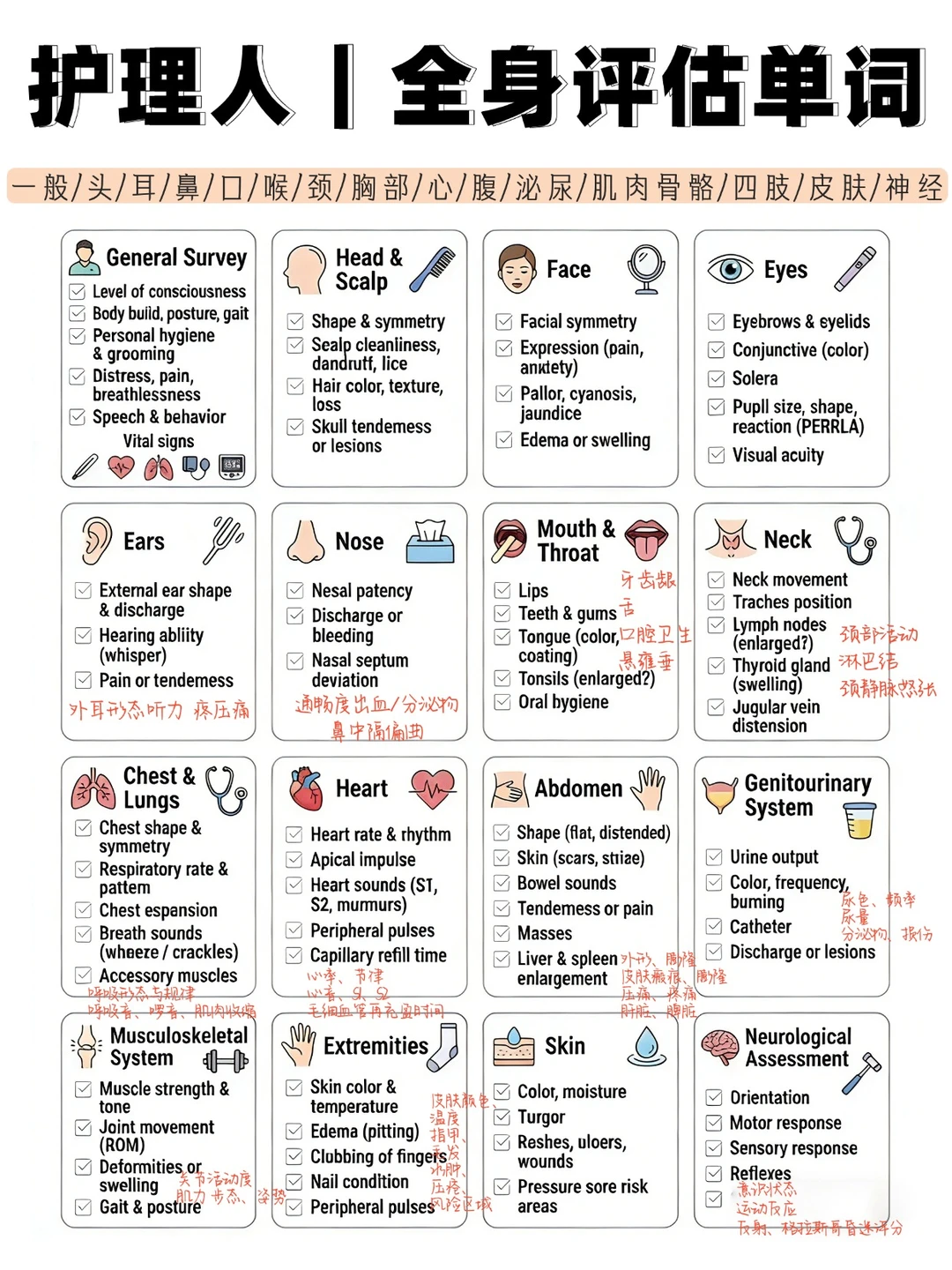备考RN/全身评估词！！学！！单词