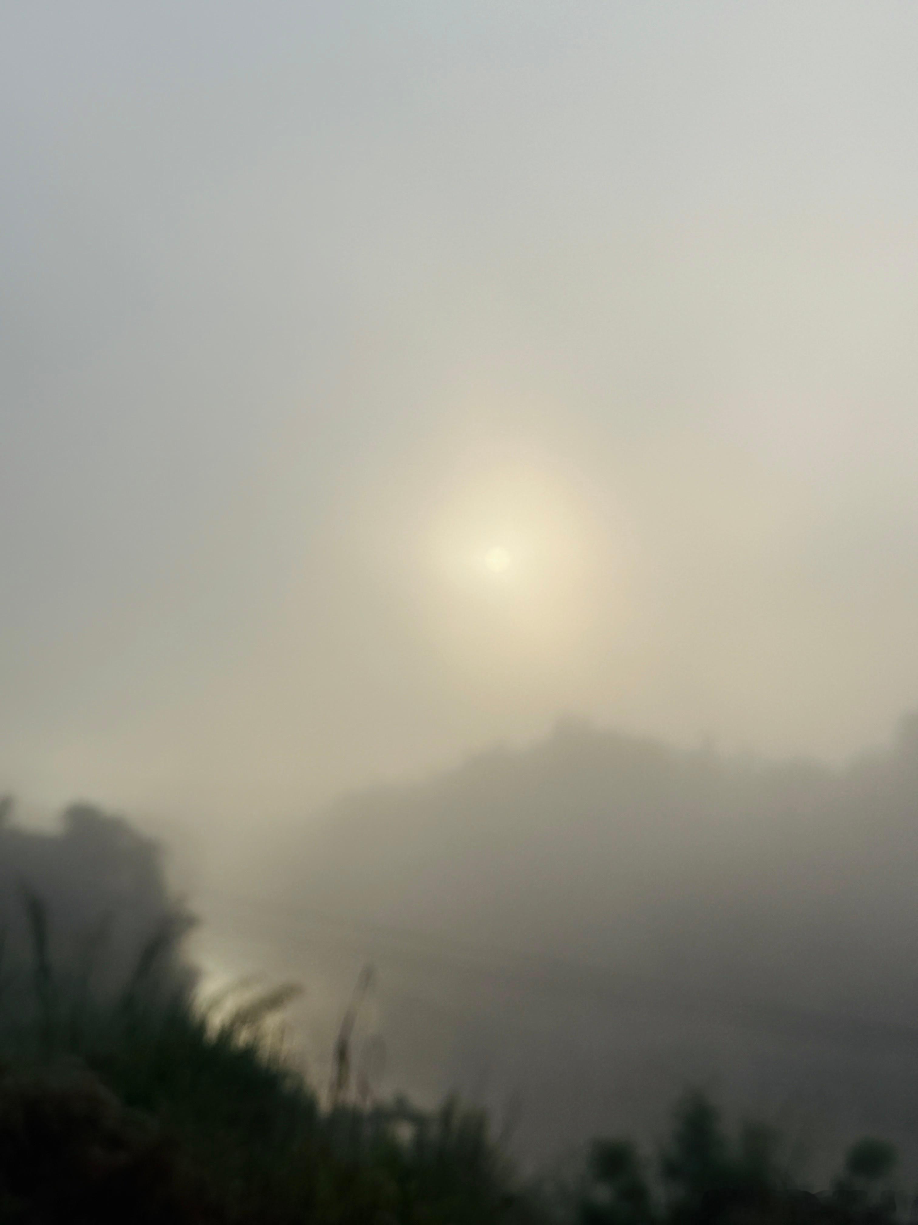 晨跑22.23KM｜寒露·空有🌫️
朝起雾烟凝
万里雁随阳
露白沾衣冷
秋深菊自香
 
寒露——
山城的清晨，寒深露重
雾锁着路，脚下只余方寸清晰
天地之间，是空的——
雾是空的，山是空的，鸟声也是空的
 
光从云后渗出，不急不慢，落在肩上，也落在草尖的露珠里
湖水碧绿，倒影安静，飞鸟掠过，漾开阵阵 ​