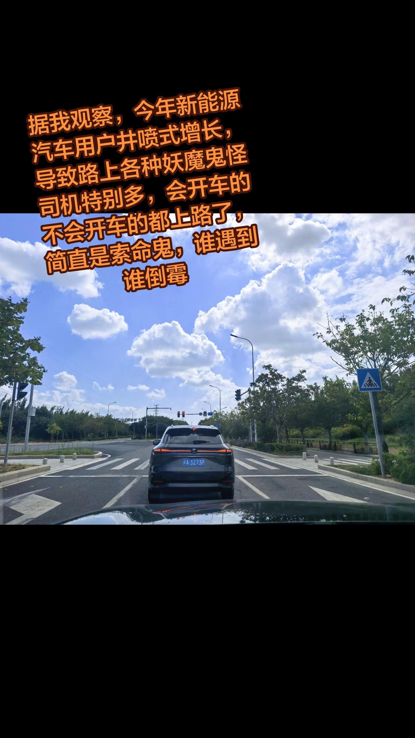 新能源汽车增多后，路上的傻子跟杀手也多了起来，不知道大家是否同感