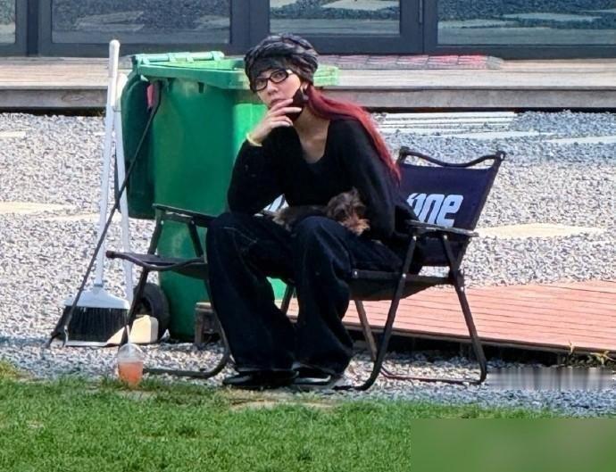 窦靖童宋妍霏又被拍了，手牵手遛狗，同回一个小区。
不是拍戏，没带助理，就俩人，一条狗，溜达着进了同一栋楼。从《她的生存之道》合作完之后，这俩被撞见同框的次数，两只手数不过来。私下吃饭、看展、逛超市，全被偶遇过。
窦靖童这边刚在台北音乐节唱完《空中飞人》，转头就被拍到在小区里遛狗。台上嘶吼怒音，台