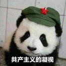 姆总真爱聊球