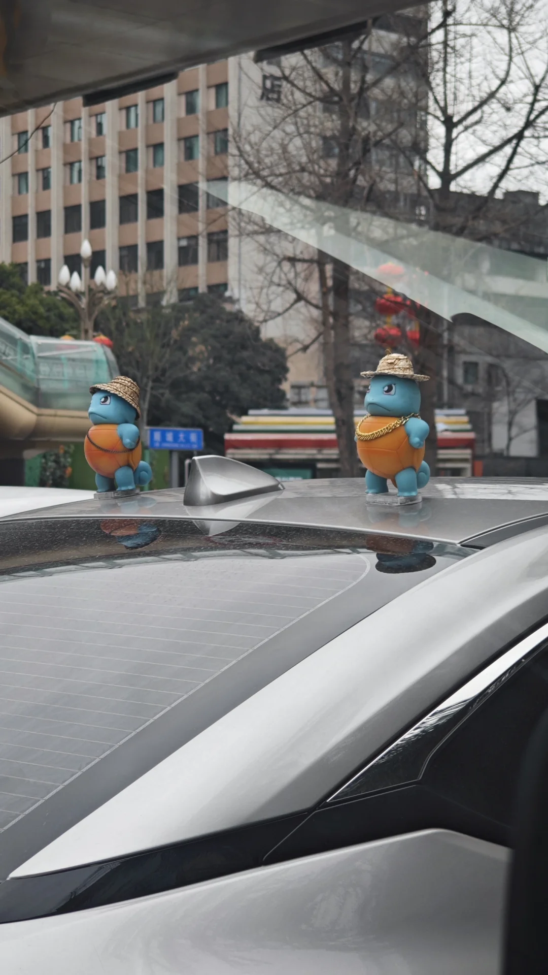 车后方交给杰尼龟～你的车上有什么宝贝😊