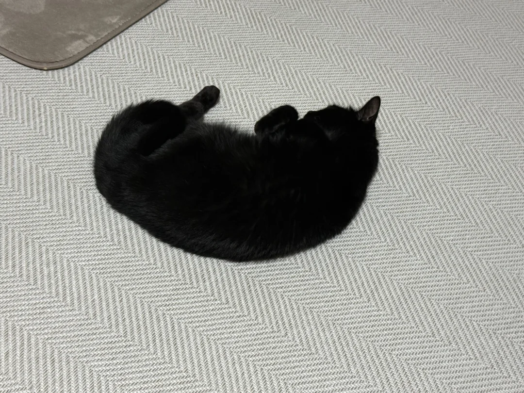 坏掉的榴莲肉