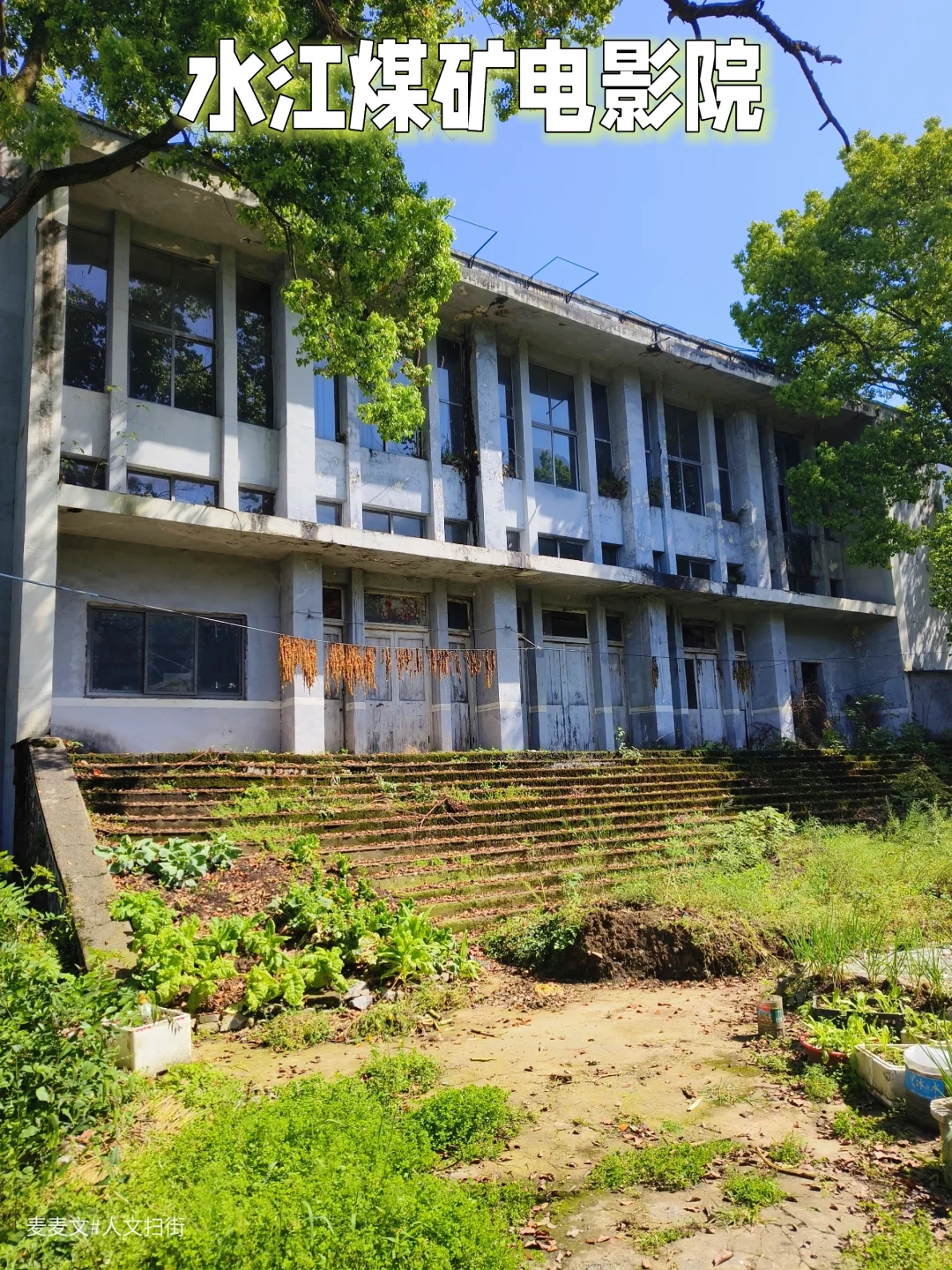 【南川】草木疯长处，皆是回不去的旧时光