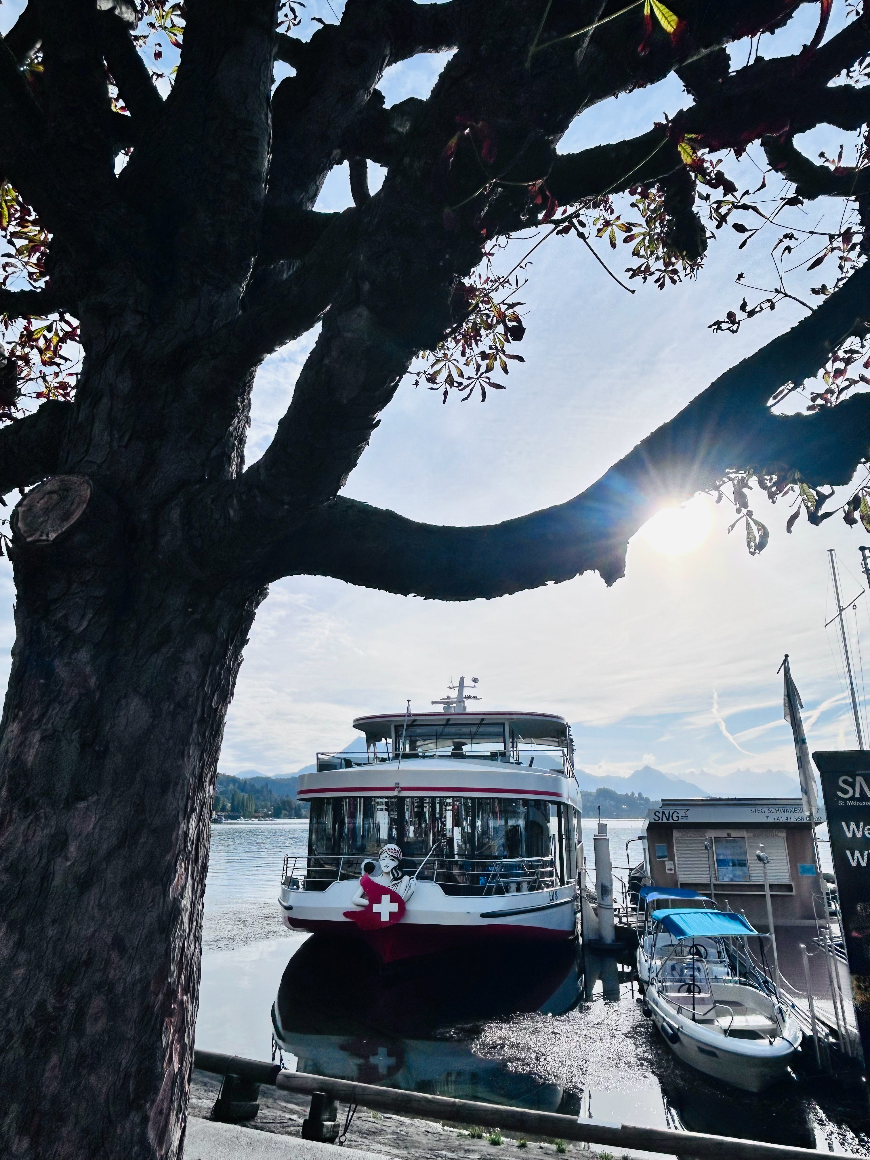 琉森湖畔，秋水澄澈🏞️
金色山口，穿梭田园🚞
#阿尔卑斯山##瑞士旅游##瑞士##卢塞恩##瑞士·卡佩尔廊桥和八角型水塔[地点]#  ​