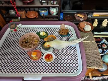 分享一下家里的小鸡食堂。（话说右边那俩和尚细看很像表情包<span c...