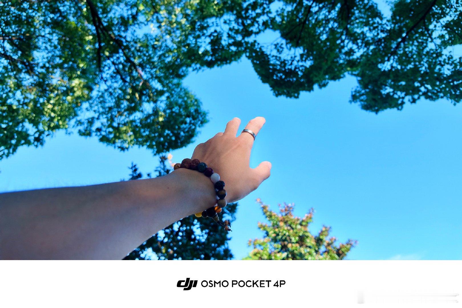Every single day counts

#大疆pocket4p##无锡#  ​