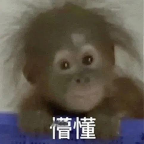 大学生爱用的万能聊天表情包