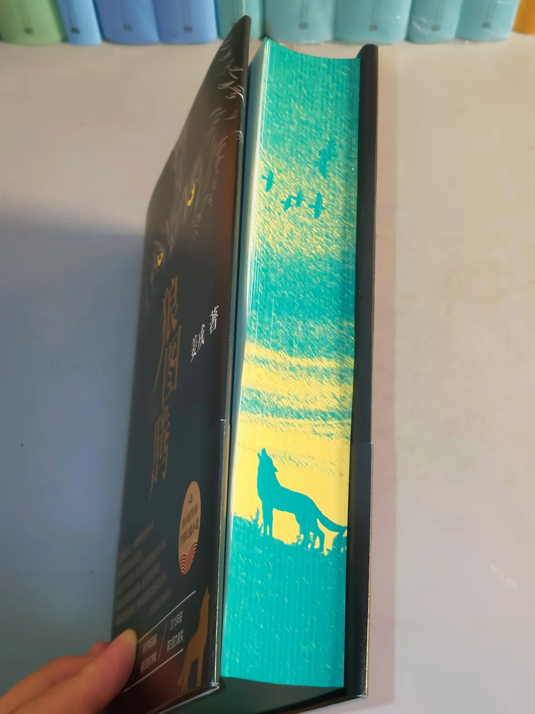 几乎是震撼着读完的一本书！！