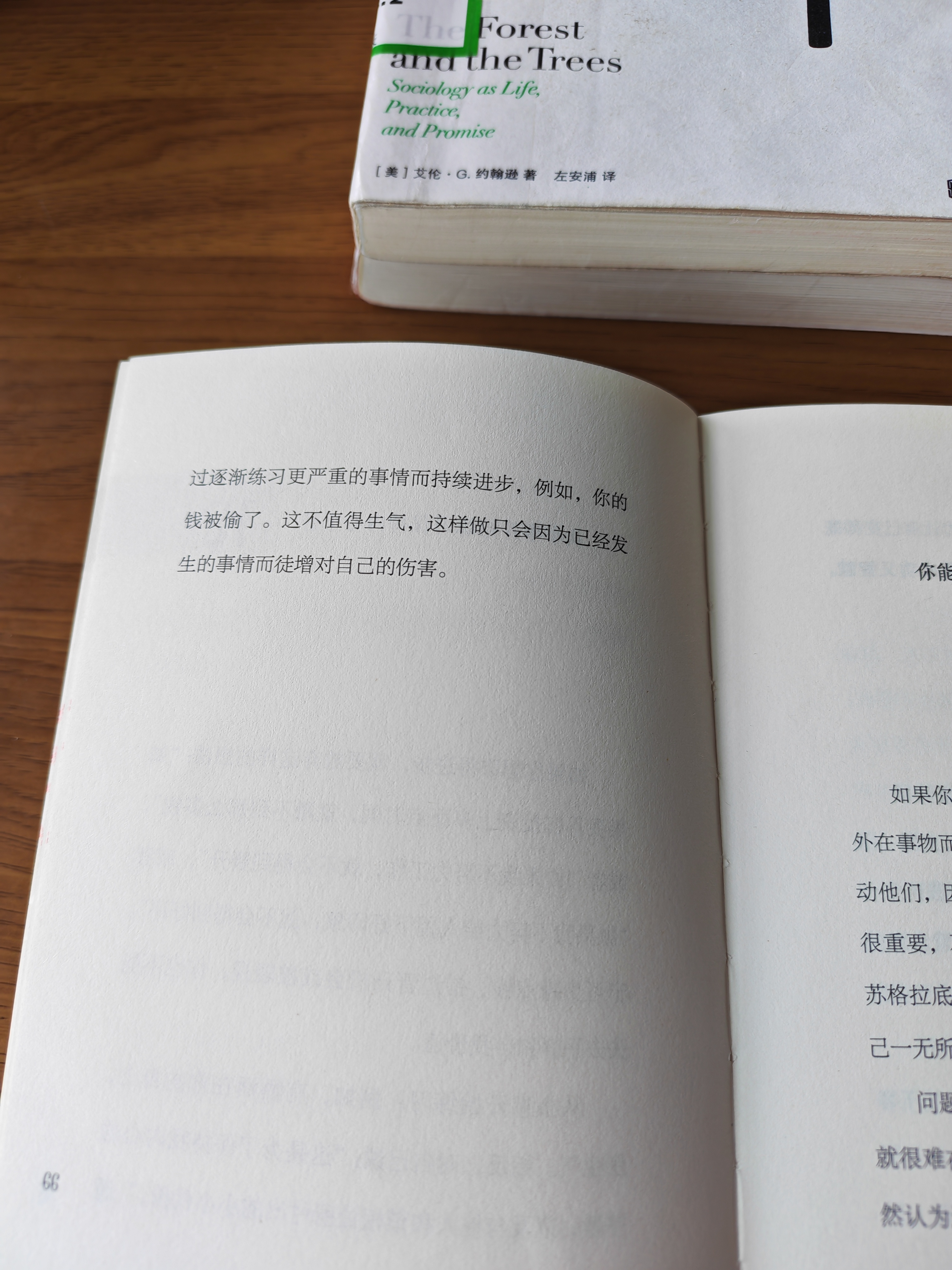 看一本哲学书结果在教导我当圣人，但看到这一节突然想起来小赞赞的国外奇遇了，能把被可乐泼到这件事内化成美丽的奇迹，与斯多葛哲学对上哈哈。如果有人研究赞儿的行为言语，也可以建立赞赞哲学流派呢[馋嘴]我总是觉得在赞赞身上学习到很多，逐渐平静和改变的座右铭都受到了很大影响。期待有赞赞传呢， ​