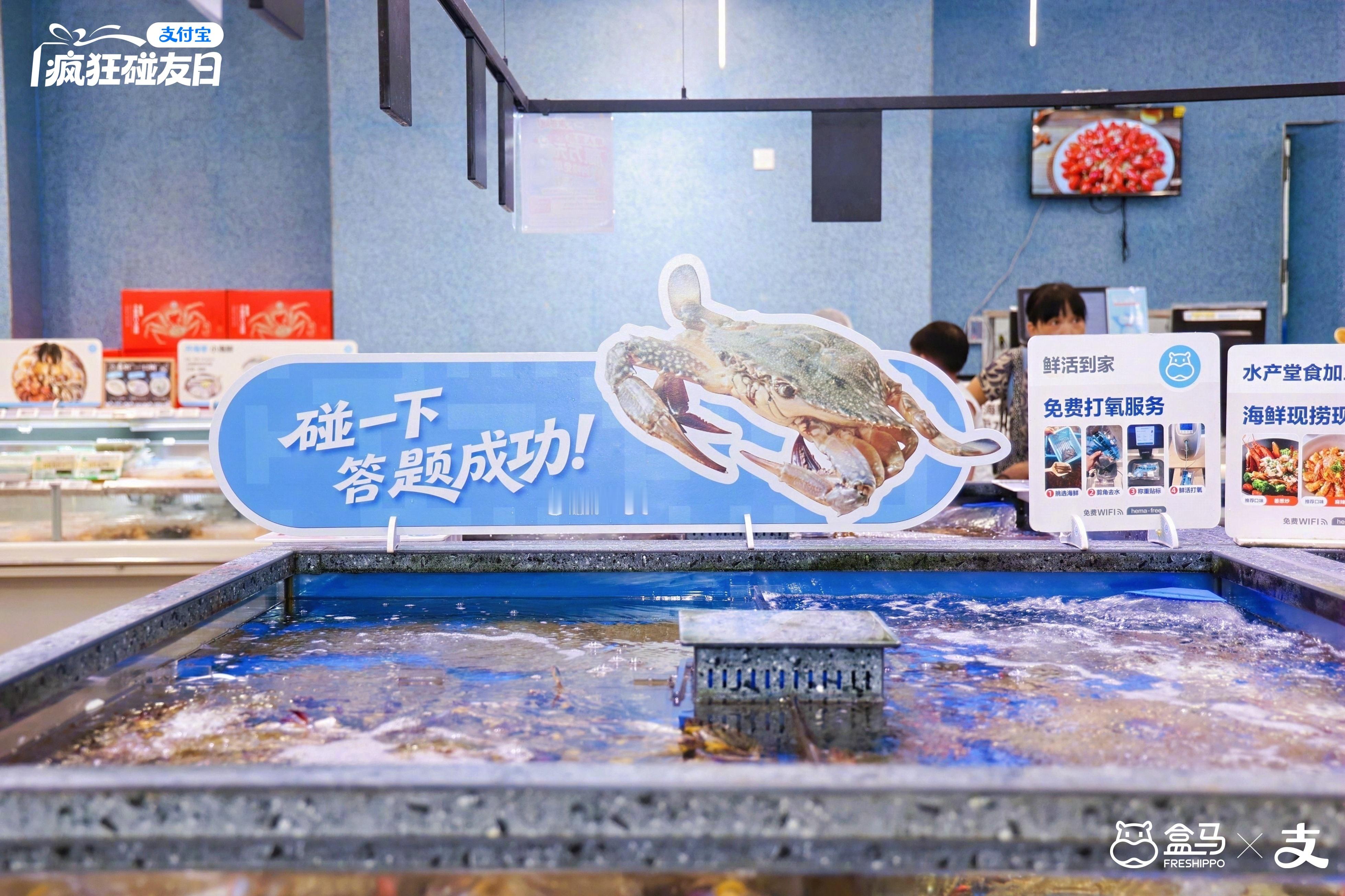 换个场地继续执裁！马宁老师走出足球场，化身支付宝答题裁判。评论区热闹不...